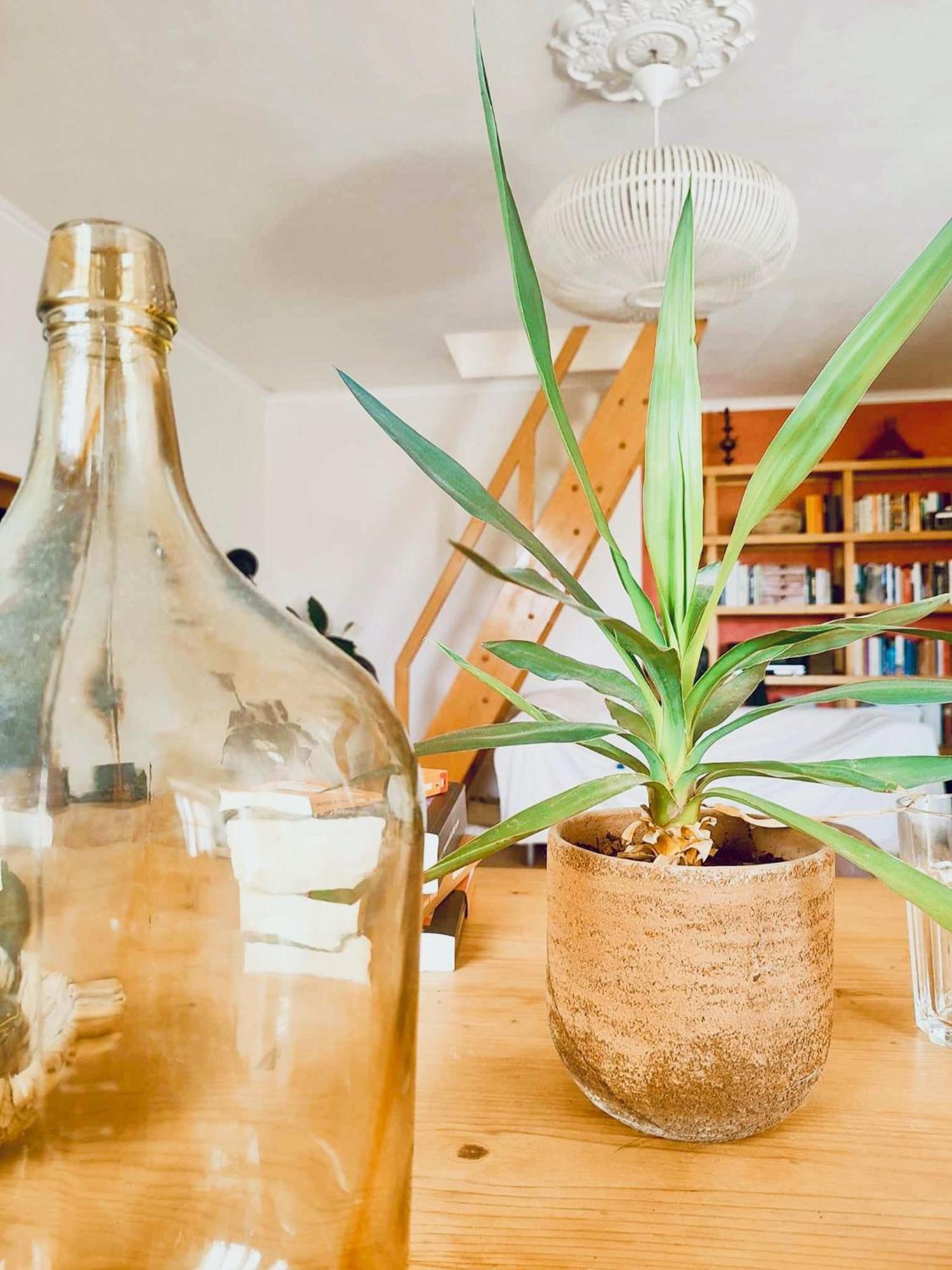 Apartmento Soma Aljezur Esterno foto
